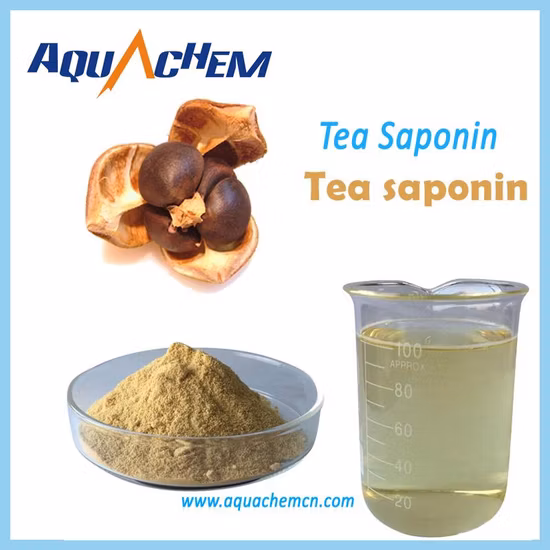 40% off Improve Shrimp&prime; S Nutrient Absorption Digestive Capacity and Growth Performance Tea Saponin