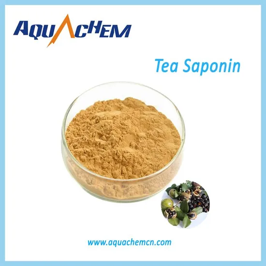 40% off Improve Shrimp&prime; S Nutrient Absorption Digestive Capacity and Growth Performance Tea Saponin