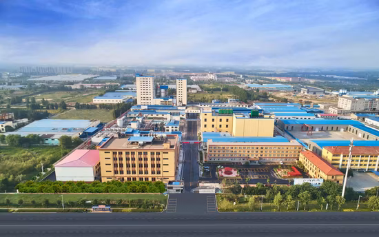 식품성분 기능성 설탕 효능 순도 영양보충 이소말토올리고당