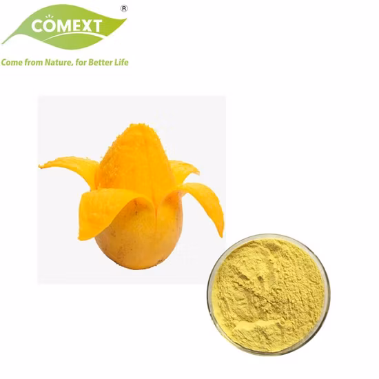 무료 샘플 노니 과일 주스 추출물 분말 대량